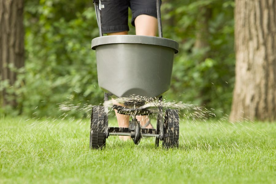 Fall Fertilizing: What Your Yard Needs To&nbsp;Grow