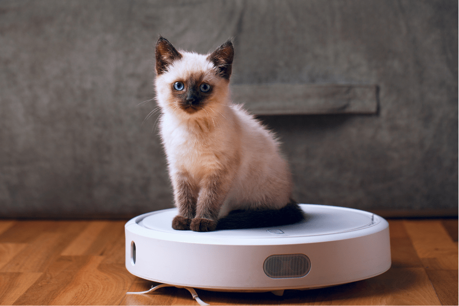 Best Robot Vacuum&nbsp;2025